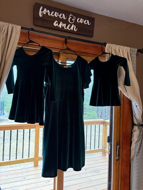 The Children's Place Other - The Children's Place Dark Green Velvet Holiday Dress Set mommy and me matching